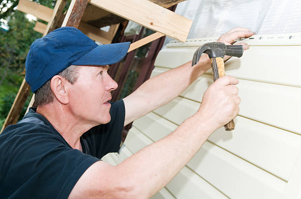 Best Siding Repair  in Globe, AZ